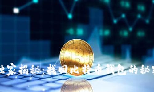 专家独家揭秘：找回比特币钱包的秘密秘诀